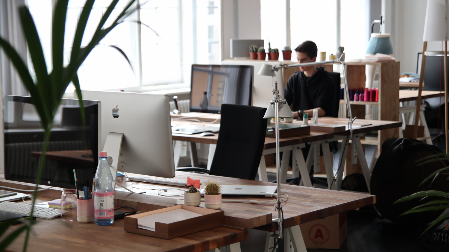 Start A Business | Website Design Sydney